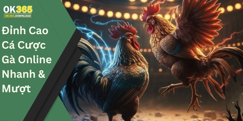 Đỉnh Cao Cá Cược Gà Online Nhanh & Mượt
