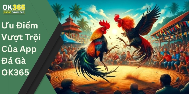 Ưu Điểm Vượt Trội Của App Đá Gà OK365