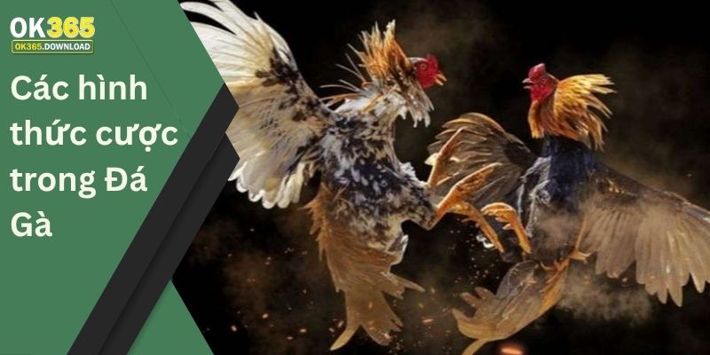 Các hình thức cược trong Đá Gà 