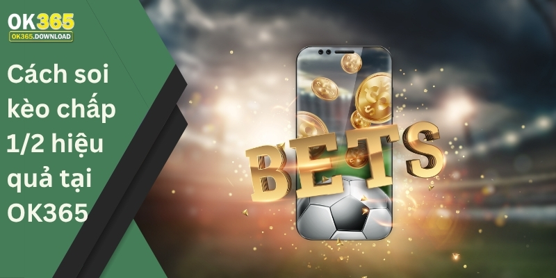 Cách soi kèo chấp 1/2 hiệu quả tại OK365