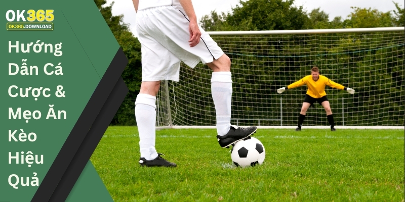Hướng Dẫn Cá Cược & Mẹo Ăn Kèo Hiệu Quả