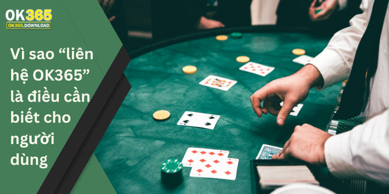 Vì sao “liên hệ OK365” là điều cần biết cho người dùng